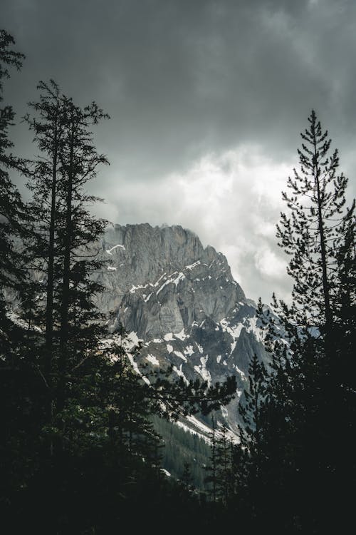 Green Trees Near Mountain Under Cloudy Sky