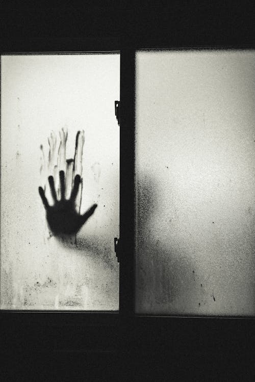Person Holding Glass Window