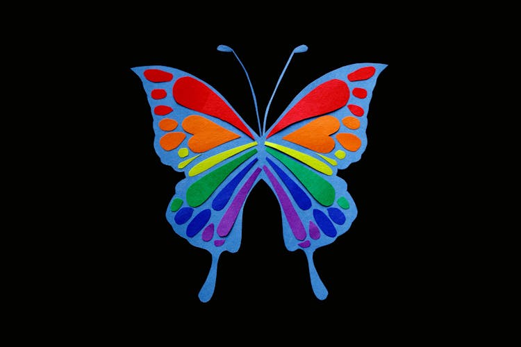 A Butterfly Illustration With Rainbow Colors  