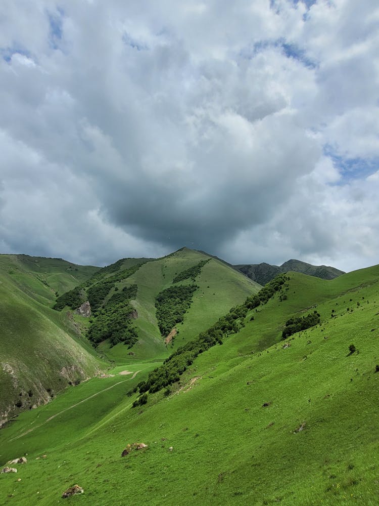 Grassy Hills Under Overcast Sky