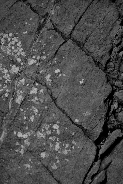 Free Detailed black and white image of a textured rock surface with lichen patches. Stock Photo