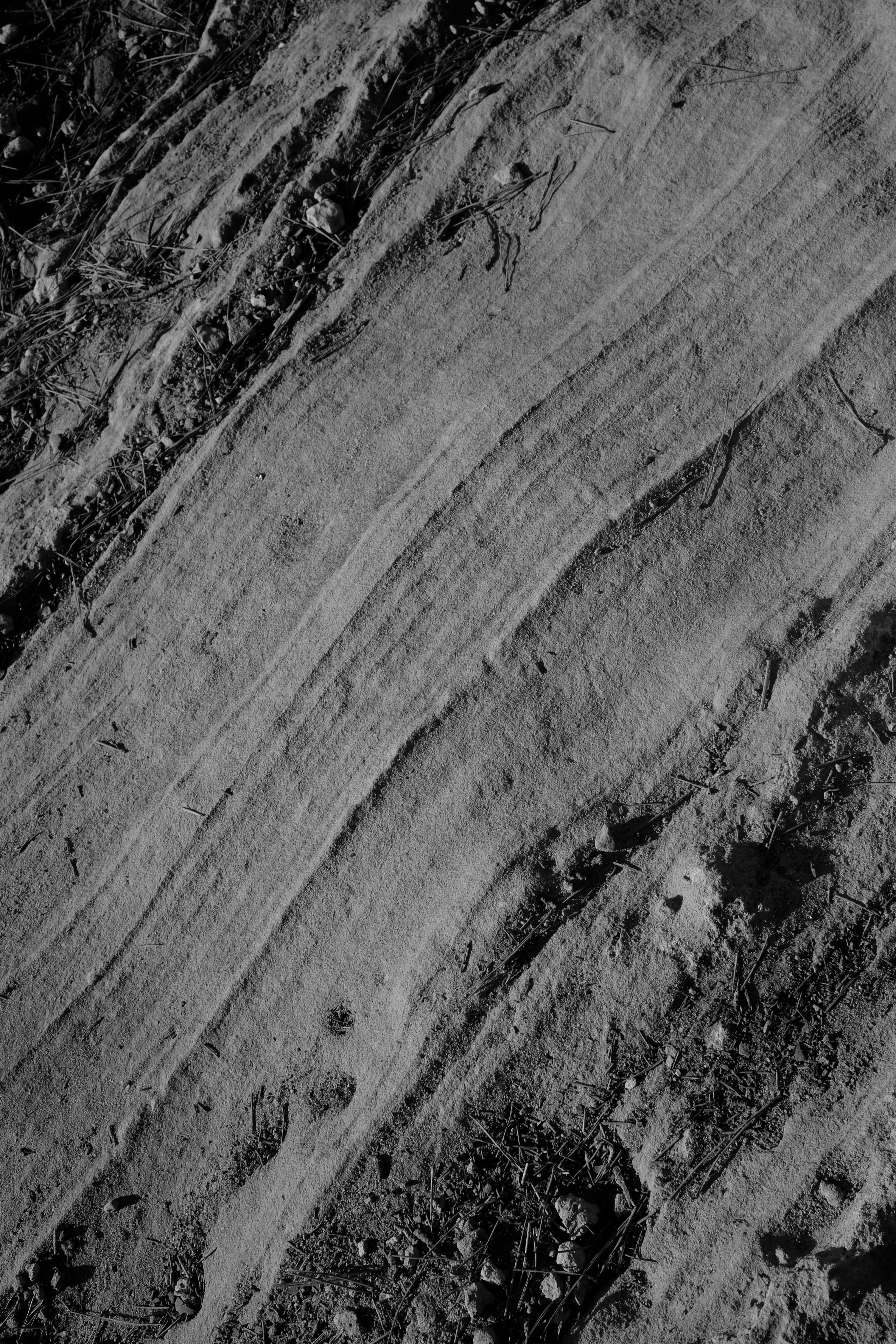 Monochrome abstract image capturing the texture of dirt and soil patterns.