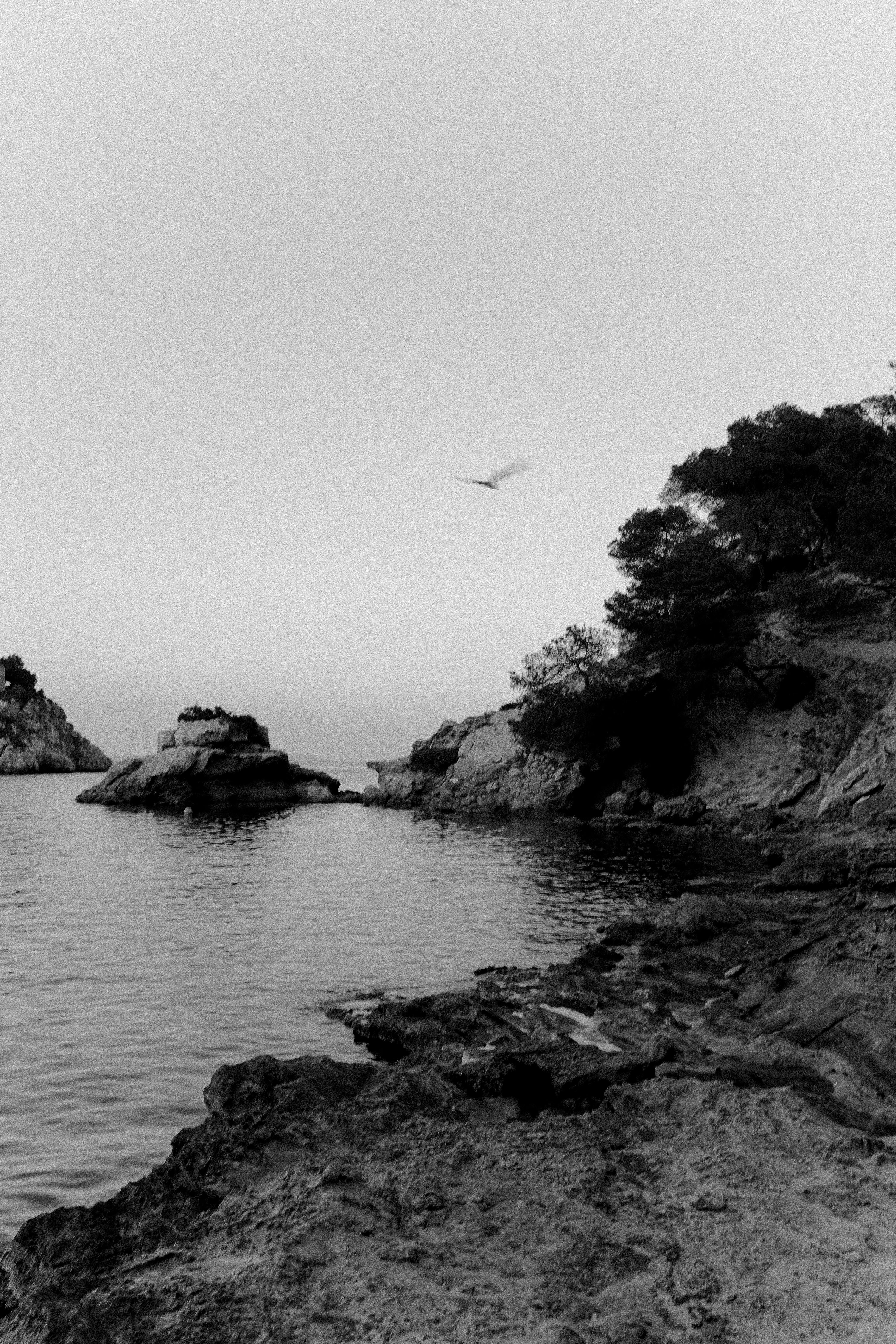 Monochrome view of a serene seaside landscape in Calvià, Spain, showcasing rugged cliffs and tranquil waters.