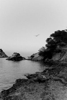 Monochrome view of a serene seaside landscape in Calvià, Spain, showcasing rugged cliffs and tranquil waters.