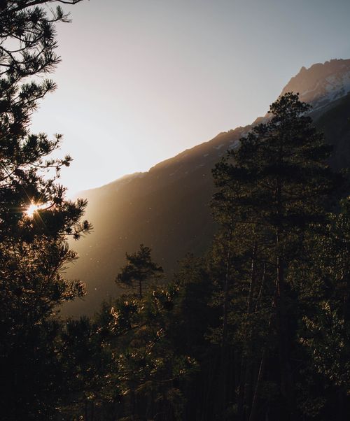 Free Captivating sunrise over Terskol forest with mountain silhouette and sun rays shining through trees. Stock Photo