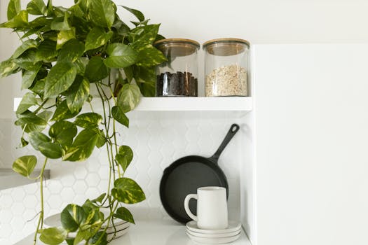 A stylish kitchen shelf with a pothos plant, ceramic cup, and glass jars for minimalist decor.