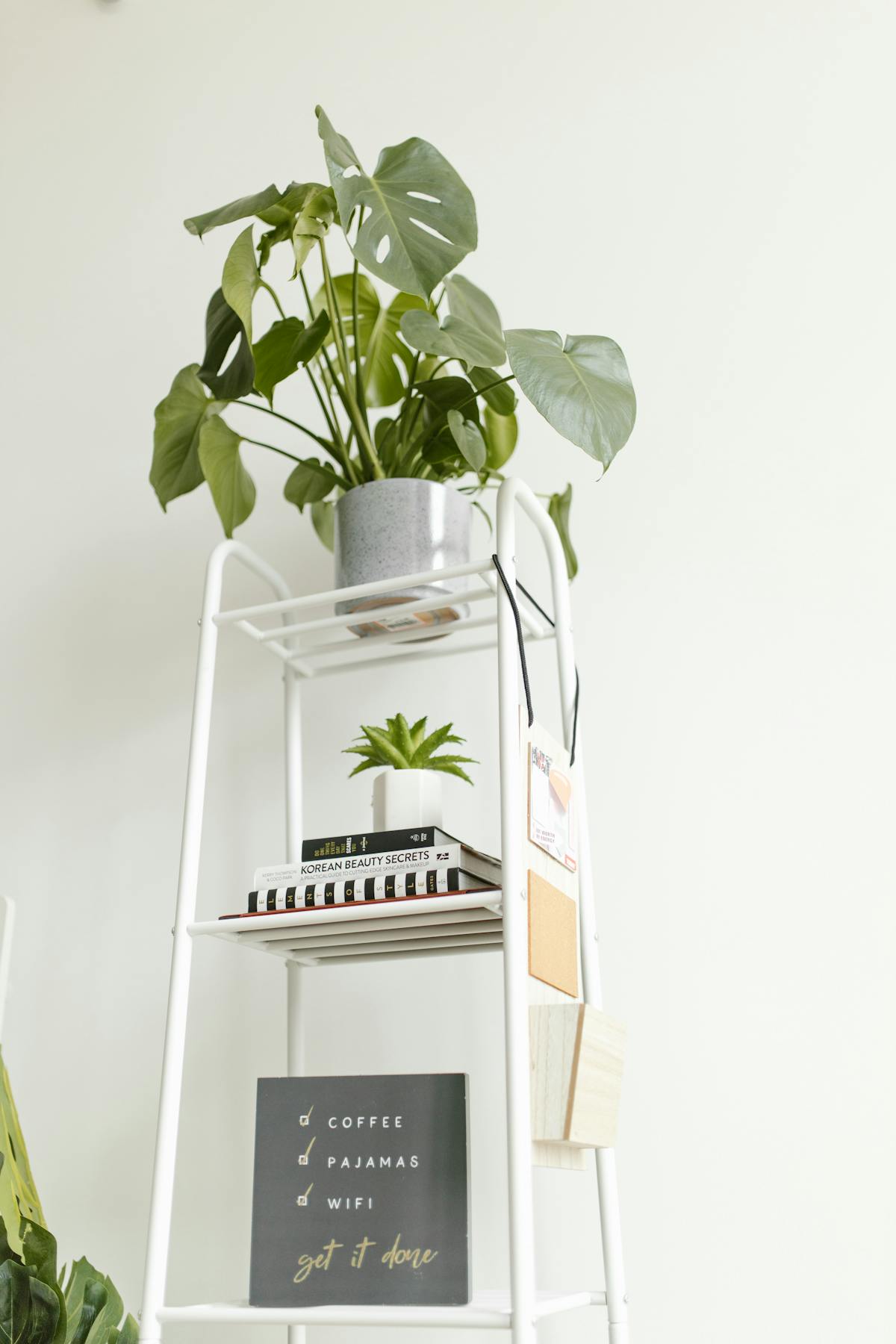 Person reviewing bills and budgeting subscriptions on a laptop