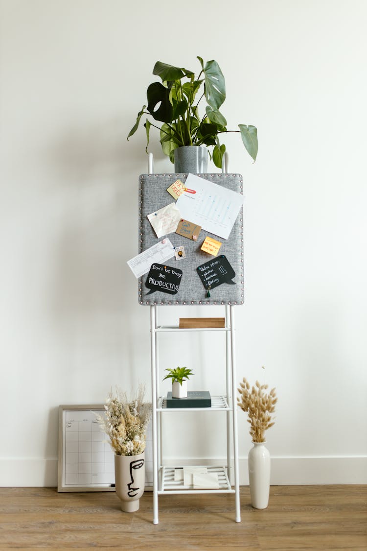 Green Plant On Top Of A Shelf 