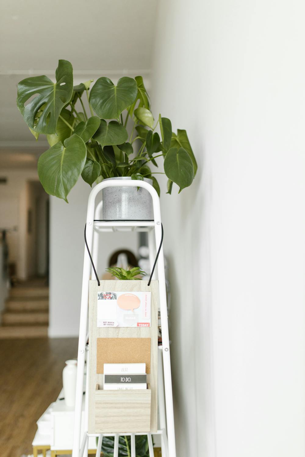 Hanging Organizer Rack