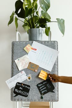 Bulletin board with notes and a houseplant for a neat, productive workspace.