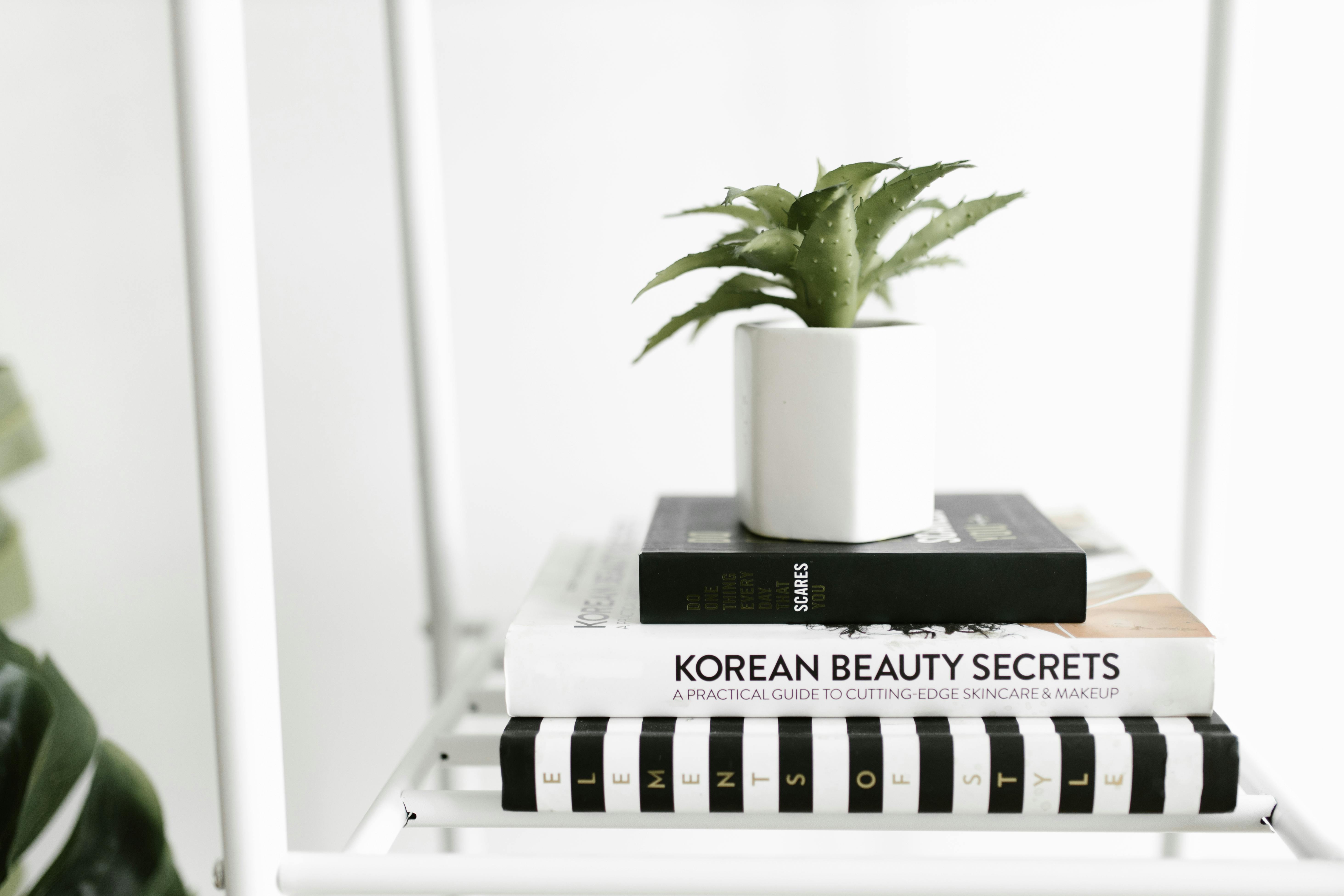 Stylish arrangement of books and a potted succulent on a minimalist shelf, creating a peaceful atmosphere.