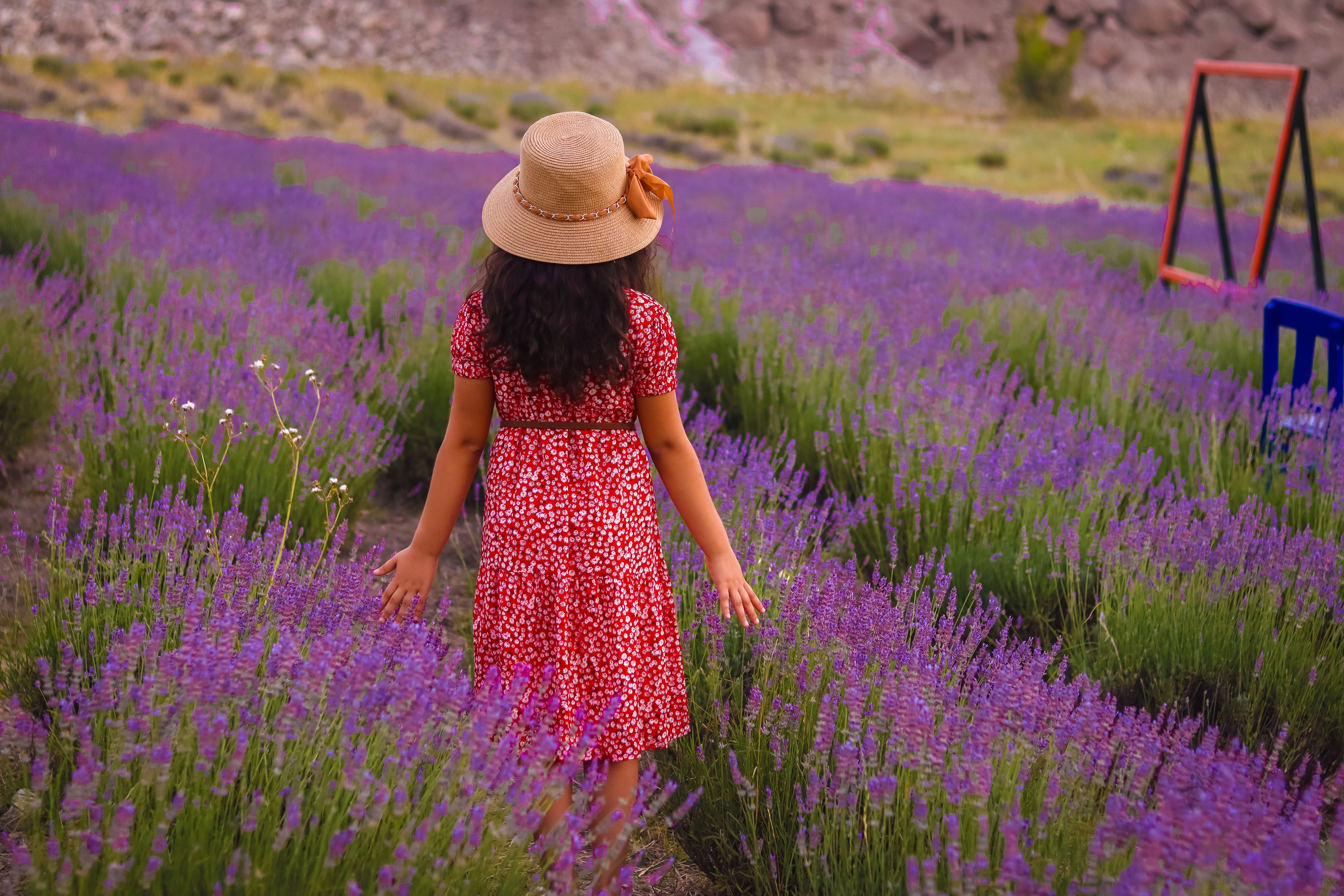 Backside of a Girl Standing in the Field of Flowers · Free Stock Photo