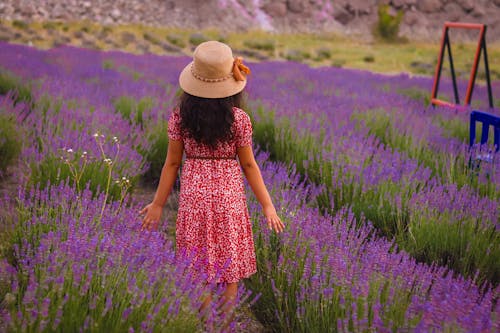 Backside of a Girl Standing in the Field of Flowers