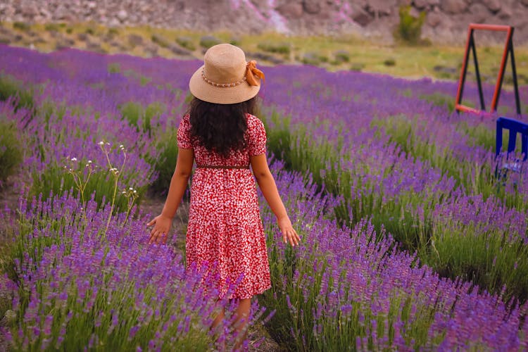 Backside Of A Girl Standing In The Field Of Flowers