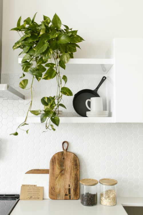 Free A minimalist kitchen interior featuring a potted plant and organized shelves. Stock Photo