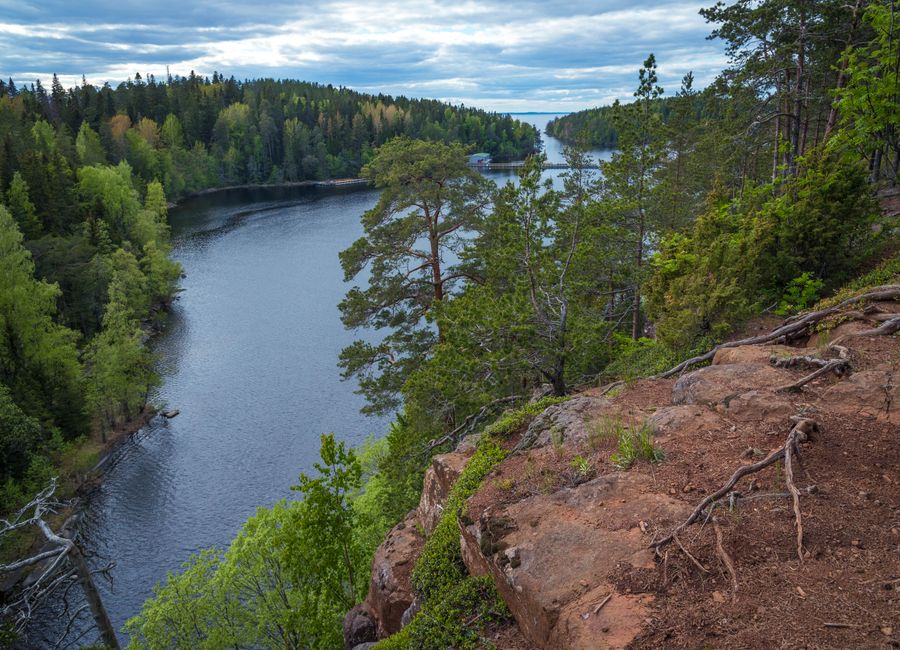 A stunning river cutting through a lush forest landscape in summer, captured in Karelia, Russia.