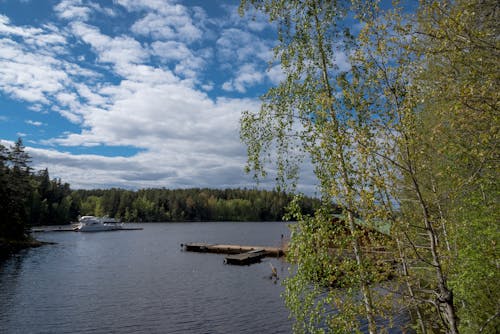 Kostnadsfri bild av flod, miljö, molnig himmel