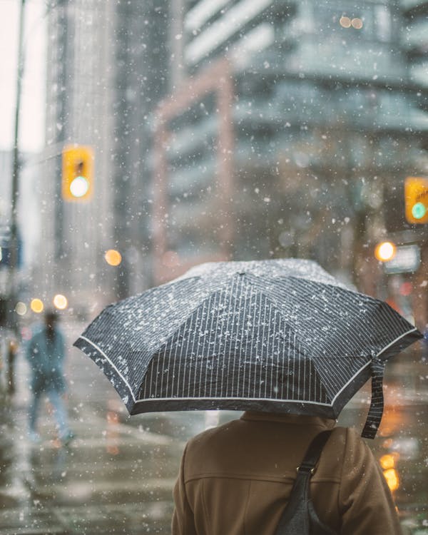 Základová fotografie zdarma na téma déšť, deštivé, deštník