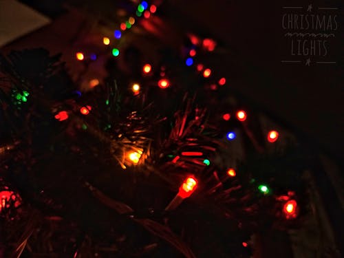 Free stock photo of christmas lights