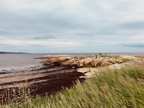 Free Explore a tranquil coastal scene featuring rocky formations and a serene sea under a cloudy sky. Stock Photo