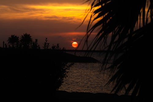 Free Stunning sunset over Okinawa's coastline, featuring silhouettes of palm trees against an orange sky. Stock Photo