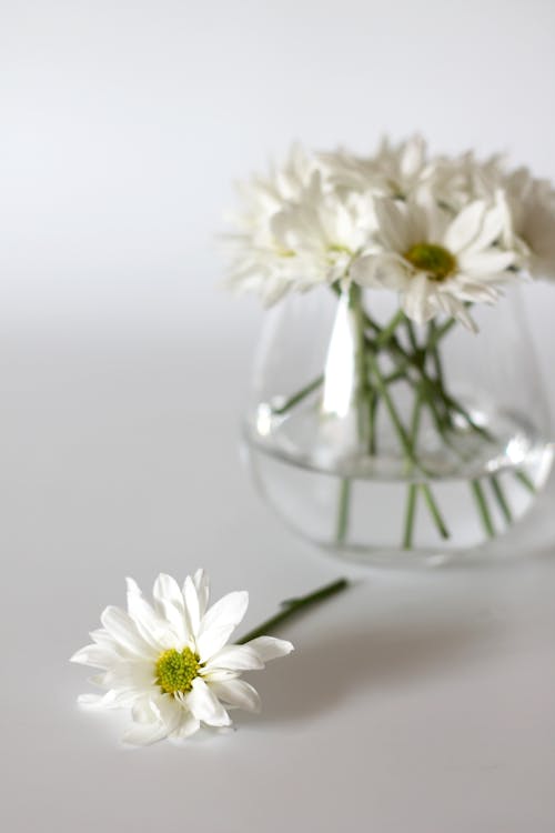 White Flowers on a Glass Vase