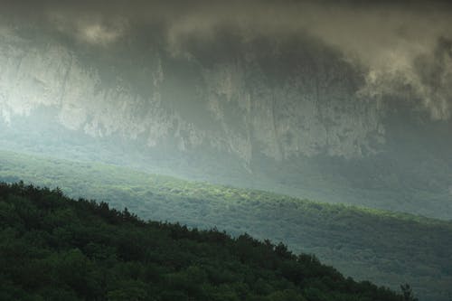 bezplatná Základová fotografie zdarma na téma hory, krajina, les Základová fotografie
