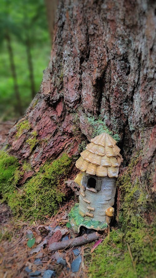 Foto stok gratis batang pohon, dongeng, gnome