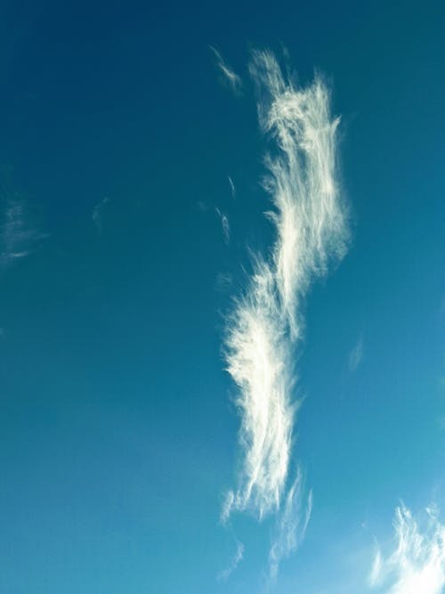 Základová fotografie zdarma na téma atmosféra, cirrus, modrá obloha