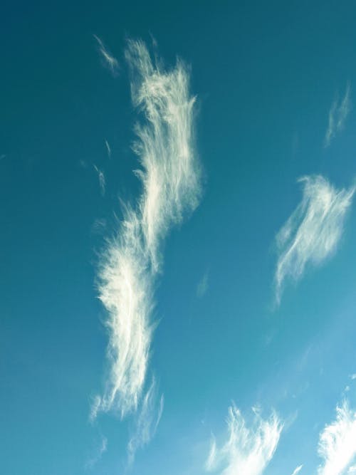 Free A Blue Sky with Clouds Stock Photo