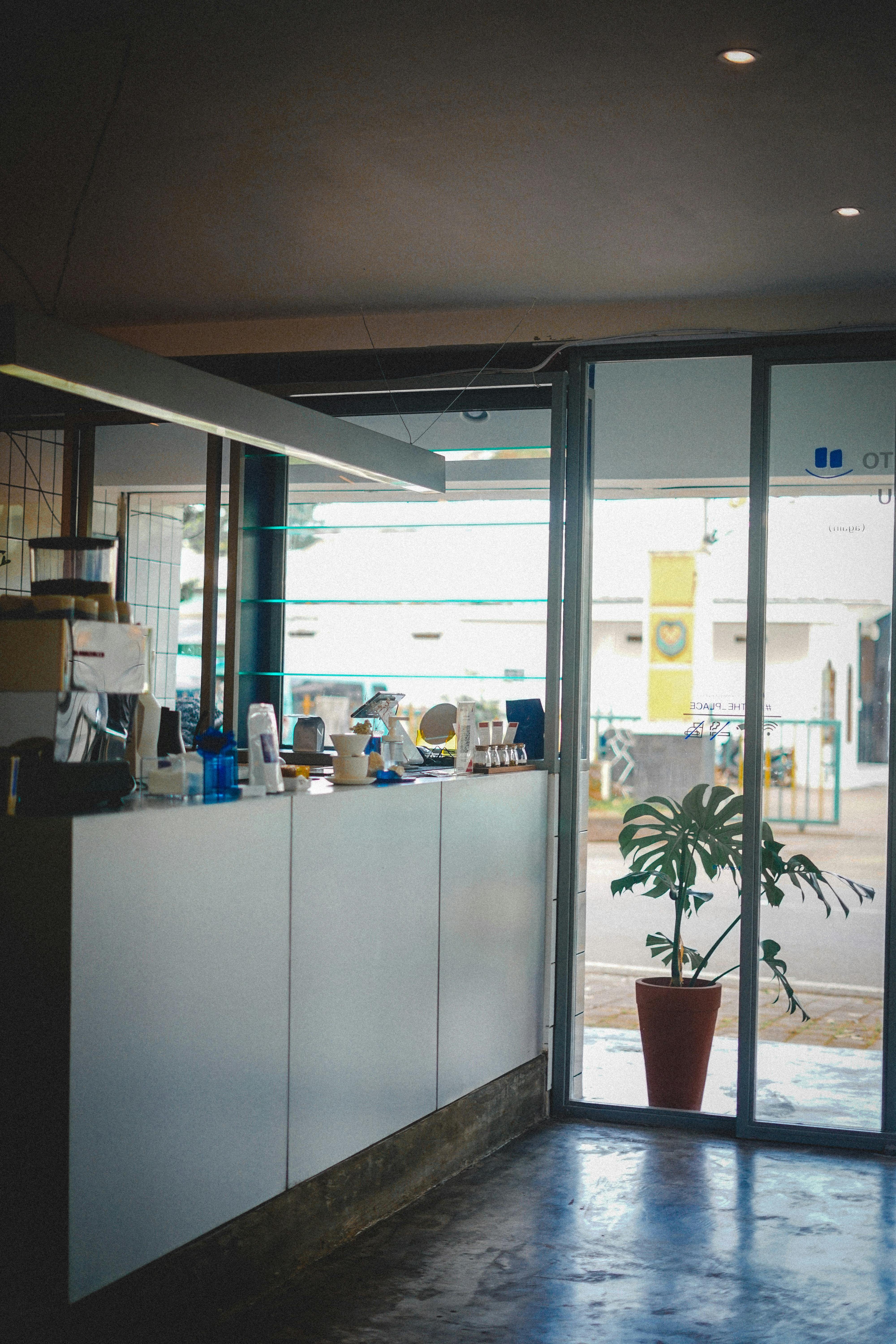 A minimalist kitchen with clean design, highlighting a plant pot by a large glass door.