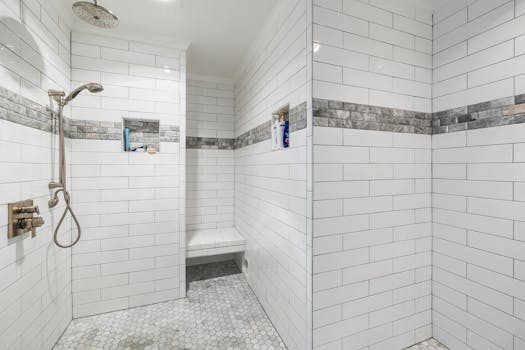 Transformation baignoire → Douche PMR italienne — Lyon (69001)