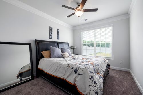 Free Bright, modern bedroom with elegant decor and natural lighting through large windows. Stock Photo