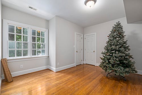 A Green Christmas Tree in the Room