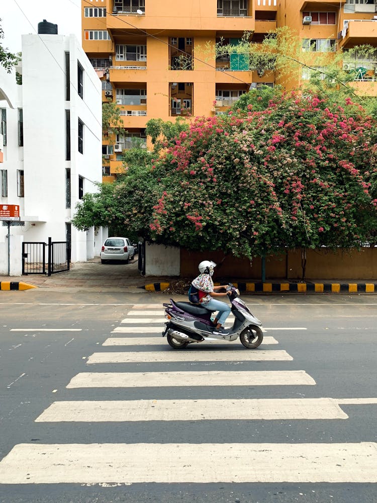 A Person Riding A Scooter On A Pedestrian Crossing