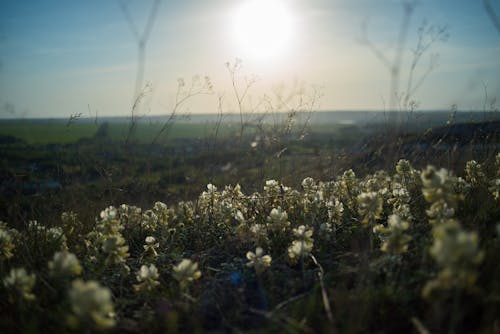 Free stock photo of Теплый вечер