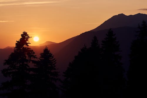 бесплатная Бесплатное стоковое фото с горы, деревья, закат Стоковое фото