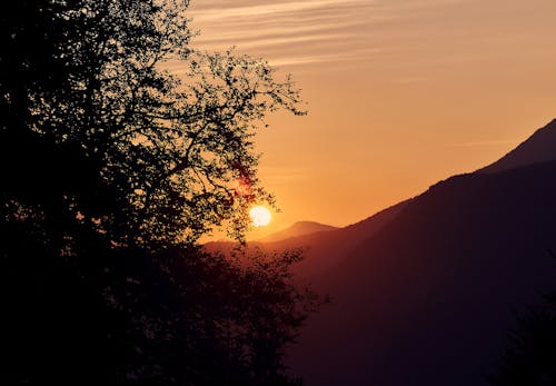 Silhouette of Tree and Mountain during Sunset