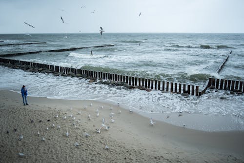 A Person Standing on the Beach Near the Waters with Wave Breakers