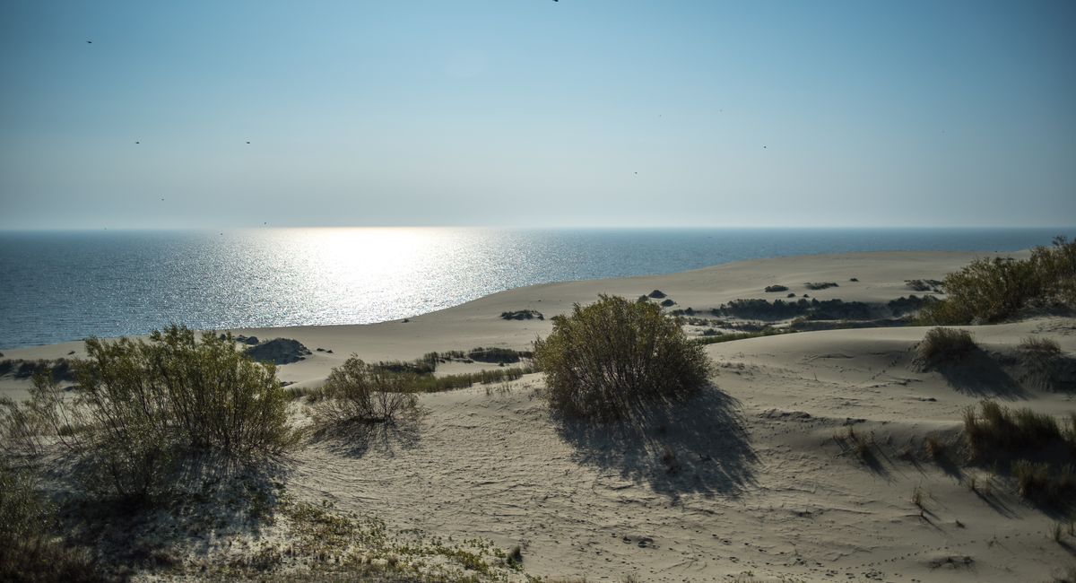 Illustration, parking payant de la dune du pilat