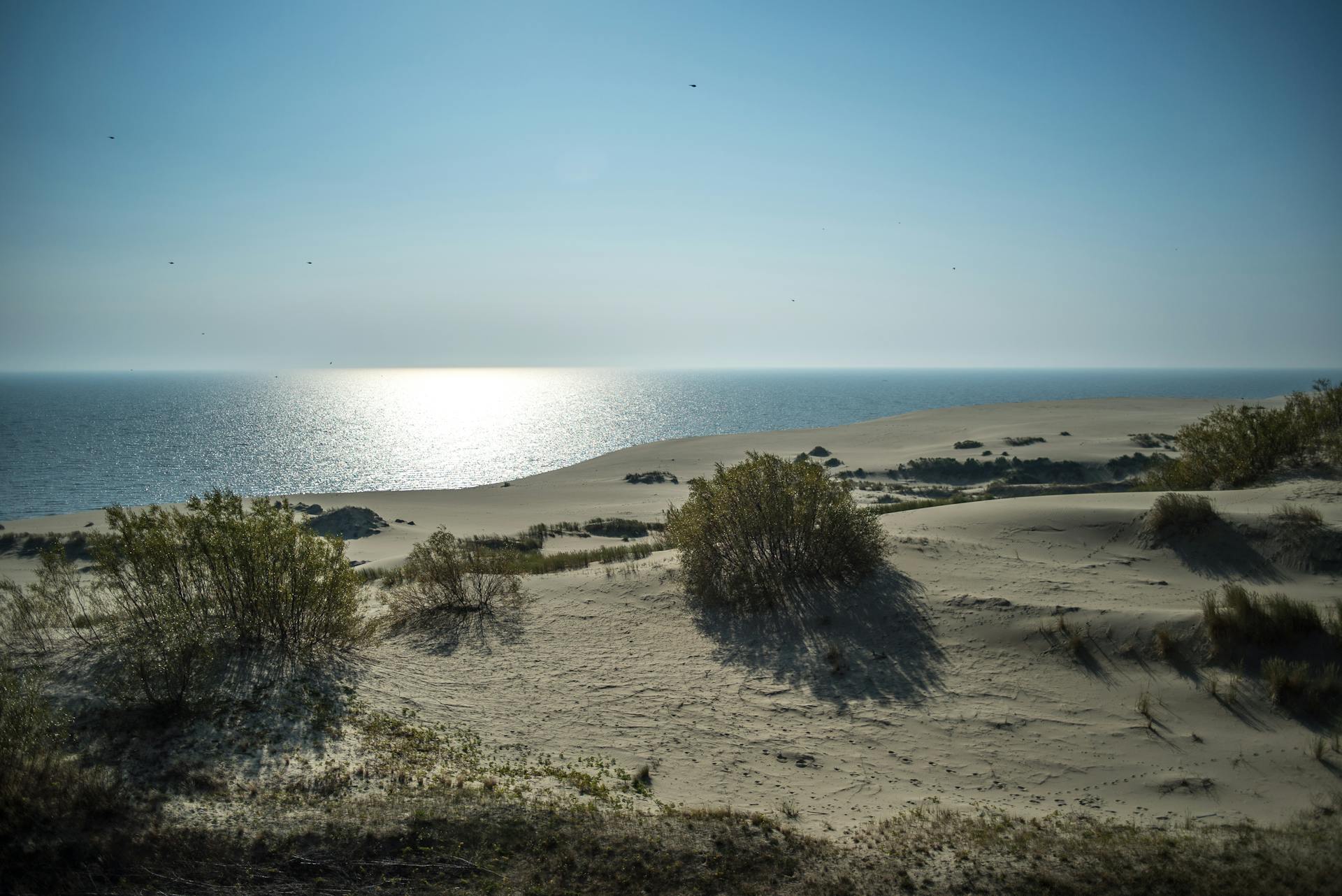 Tranquil view of sand dunes and ocean horizon in Kaliningrad Oblast, Russia.