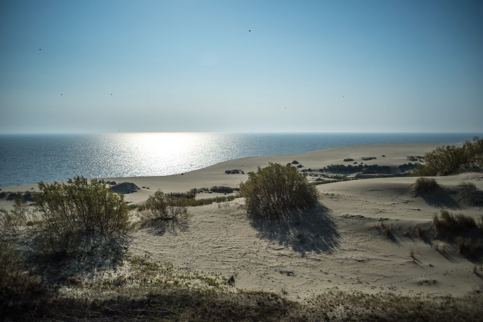 Gibraltar Point NNR — view 1