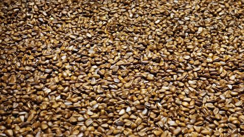 Seeding on a specialist surface: when a ranking and a bracket disagree