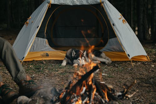 Camping Tips for Late Summer and Early Fall Nights