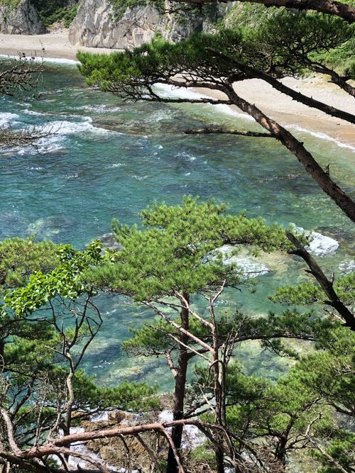 Free A beautiful coastal scene featuring lush green foliage and clear turquoise waters, perfect for nature lovers. Stock Photo