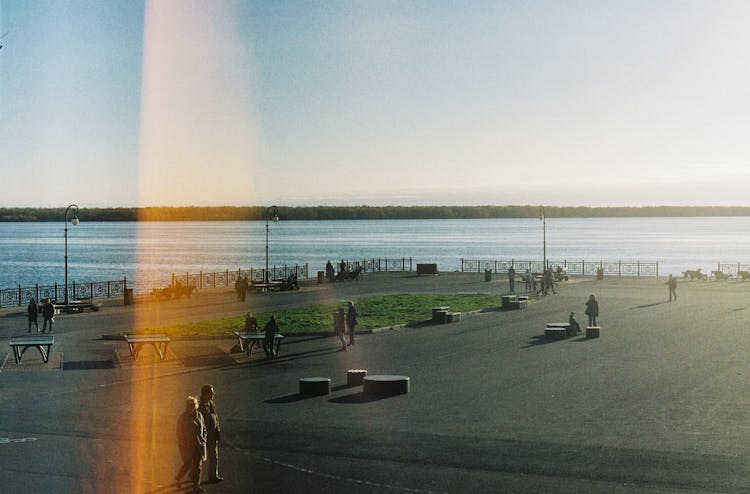 People In The Harbor Park On A Sunny Day