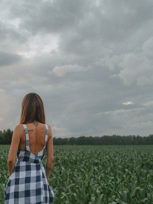 Foto profissional grátis de campo agrícola, céu sombrio, chácara