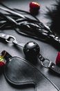 Black Ball Gag and Black Blindfold