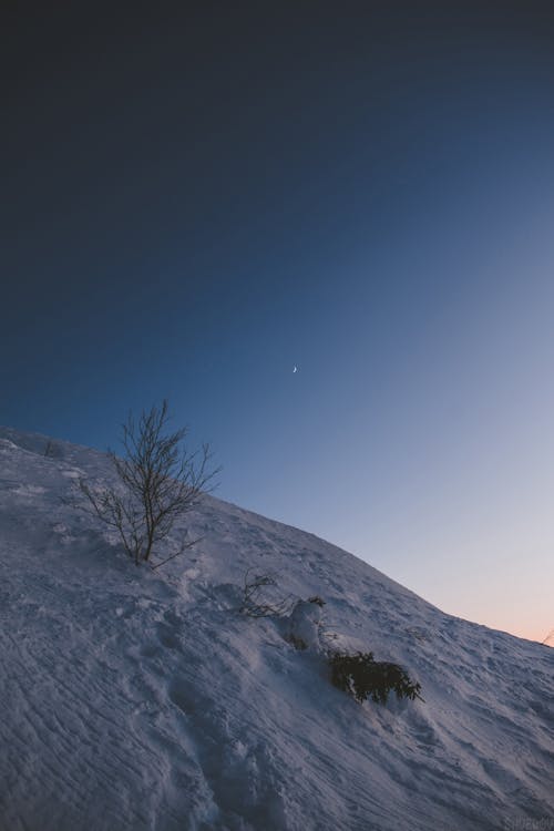 Foto d'estoc gratuïta de duna, nit, paisatge