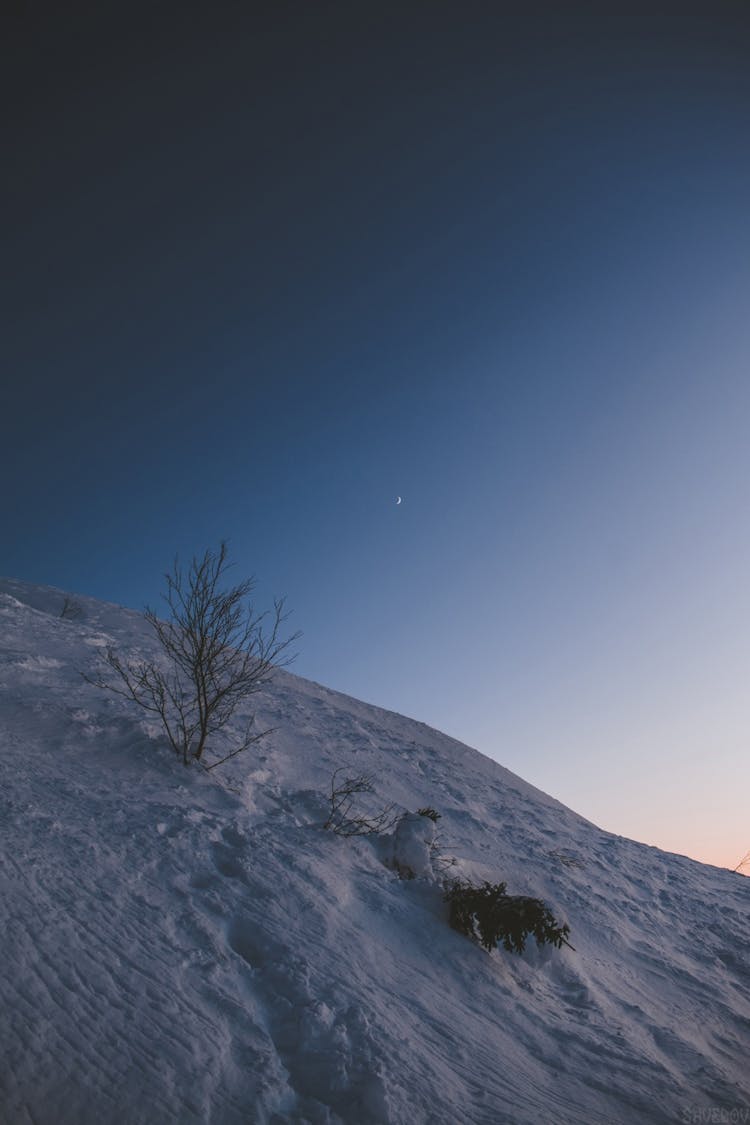 Sand Dune At Night